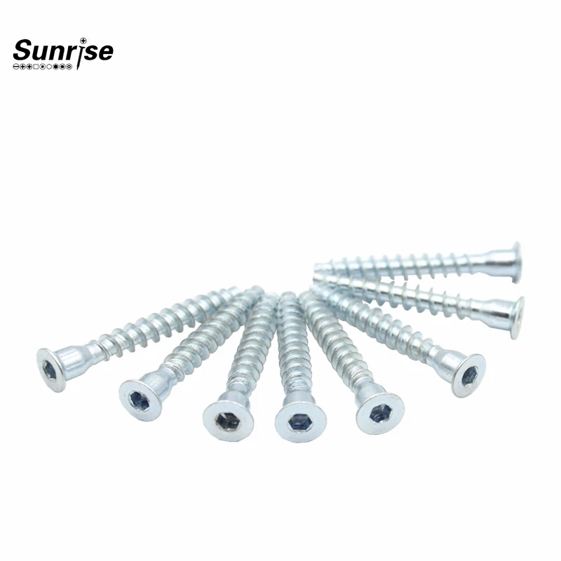 Verzinkte C1008-Schraube
