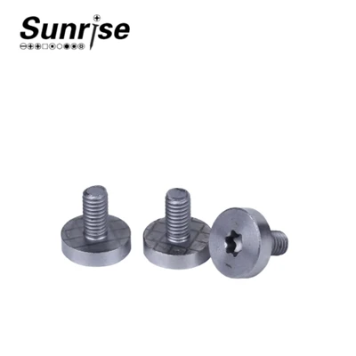 Maschinenschrauben mit Innensechskant und Torx-Antrieb