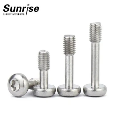 Plattenbefestigungen, präzise Torx-Rundkopfschraube aus Edelstahl