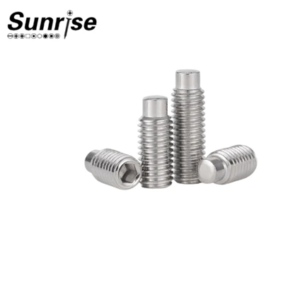 Edelstahl -Hexagon Socket Stecker Flachende Set