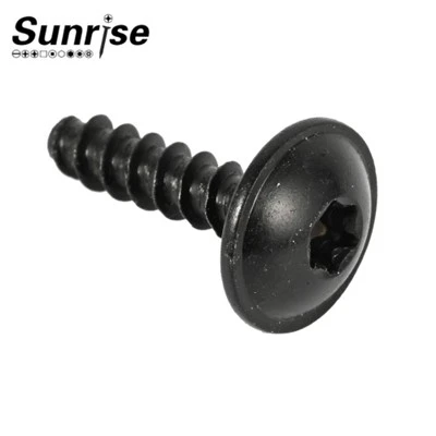 Schwarze Torx-Blechschraube mit Flachrundkopf