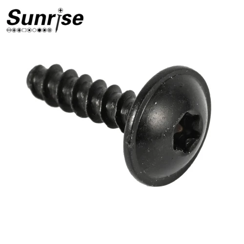 Schwarze Torx-Blechschraube mit Flachrundkopf
